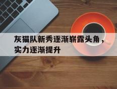 世俱杯奖金-灰猫队新秀逐渐崭露头角，实力逐渐提升的简单介绍