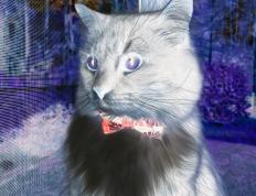 世俱杯赛程-篮球意志入侵绿茵场，当北京决胜热火，利拉德在英超戴上王冠