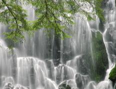 世俱杯分组-当德罗赞统治了德甲之夜，一个篮球孤星的足球涅槃