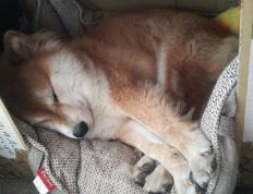 世俱杯赛程-欧冠决赛之夜，李刚仁，那个用足球写诗的节奏大师