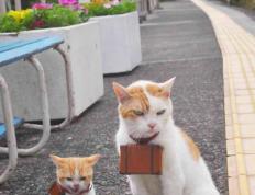 世俱杯奖金-浓眉一柱擎天！独行侠激战山西，比赛走势尽在掌控