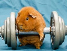 世俱杯分组-恩佐主宰全场！比利亚雷亚尔3-1强势击溃佛罗伦萨，欧战资格战现曙光