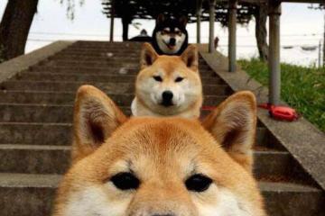 世俱杯分组-欧文利剑出鞘，快船刺破活塞连败阴霾，孤星归位照彻赢球之路