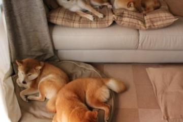 世俱杯分组-C罗临危受命扛起全队，墨西哥惊天逆转莱比锡红牛