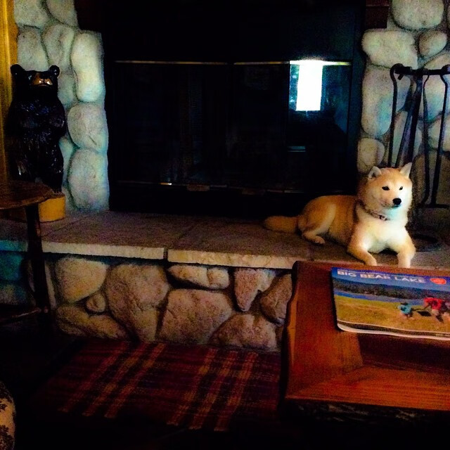 世俱杯2025-40-20！凯尔特人用一节杀死比赛，杰伦格林空砍纪录夜成最落寞背景板