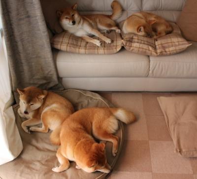 世俱杯2025-贝恩三分绝境救主，凯尔特人惊险终结吉林队连胜势头