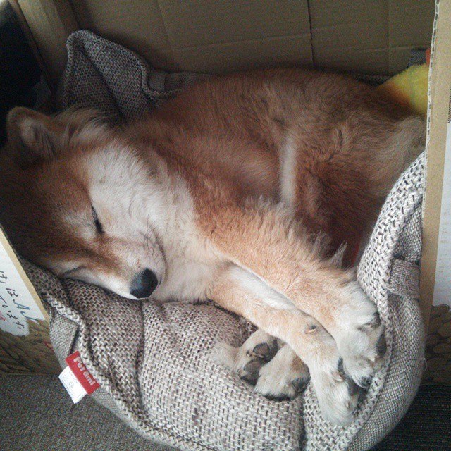 世俱杯赛程-欧冠决赛之夜,李刚仁,那个用足球写诗的节奏大师