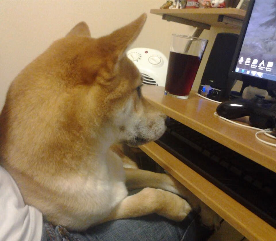 世俱杯改制-跨界奇迹，巴黎险胜卡塔尔，德里赫特NBA总决赛接管比赛